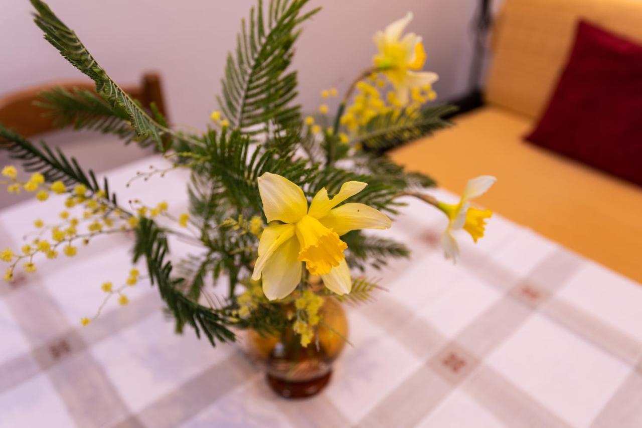 Rooms & Studio Apartment Mira Baška Εξωτερικό φωτογραφία